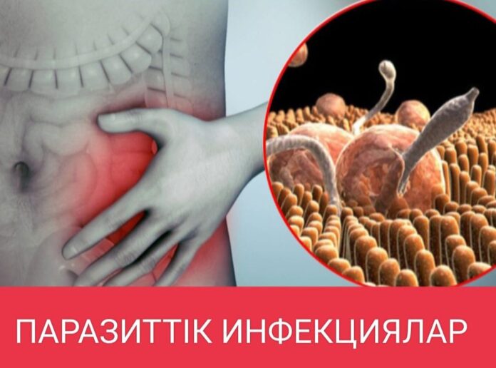 568462718_1979765799445824_2825154103405206712_n